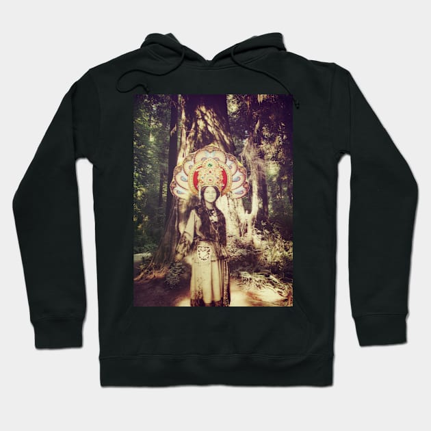 The Healer... Hoodie by montagealabira